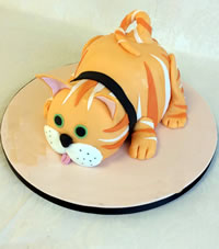 Cake decorating classes