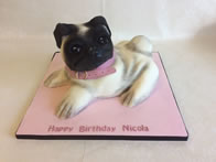 Adult Birthday Cakes by Catherine Scott