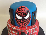 Children's Birthday Cakes by Catherine Scott