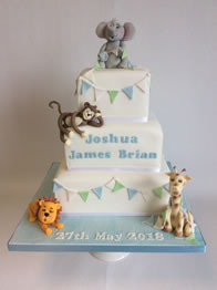 Christening Cakes by Catherine Scott