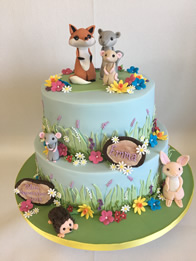 Christening Cakes by Catherine Scott