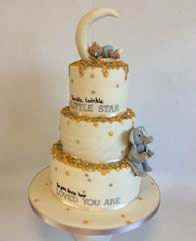 Cakes for Other Occasions by Catherine Scott