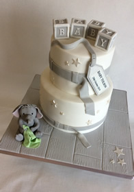 Cakes for Other Occasions by Catherine Scott