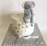 Cakes for Other Occasions by Catherine Scott