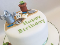 Sports and Hobbies Cakes by Catherine Scott