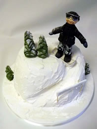 Sports and Hobbies Cakes by Catherine Scott
