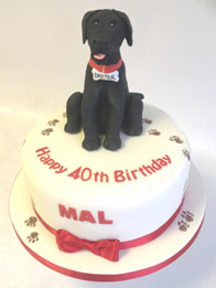 Sports and Hobbies Cakes by Catherine Scott