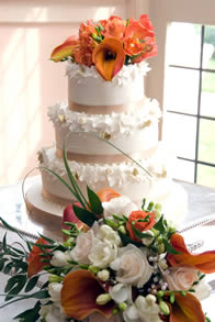 Tina — Contemporary Wedding Cake by Catherine Scott