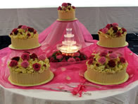 Liliana novelty wedding cake by Catherine Scott