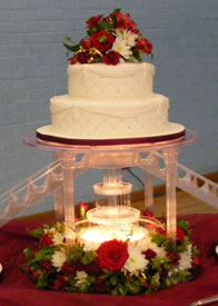 Sekara novelty wedding cake by Catherine Scott